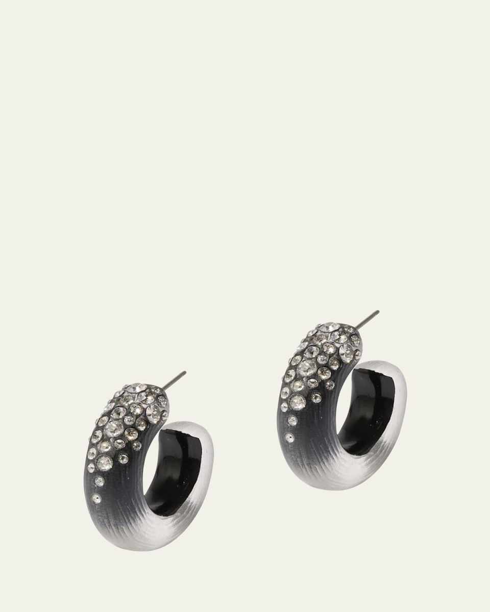 Lucite Crystal Hoop Earrings